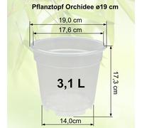 MePla - Vaso Trasparente Per Orchidee Ø 8 - 21 Cm - Set Da 5 A 100 Pezzi