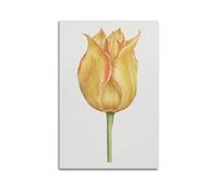 MEQKTQIMA Poster con piante tulipani, vintage, disegnato a mano, singolo fiore, decorazione da parete su tela e moderna decorazione per camera da letto, 30 x 45 cm