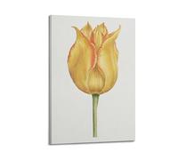MEQKTQIMA Poster con piante tulipani, vintage, disegnato a mano, singolo fiore, decorazione da parete su tela, decorazione moderna per camera da letto, 60 x 90 cm