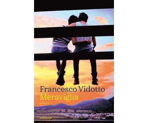 Meraviglia [Paperback] [Sep 12, 2017] Vidotto, Francesco