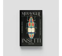 MERAVIGLIE DEGLI INSETTI