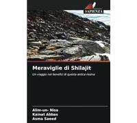 Meraviglie di Shilajit: Un viaggio nei benefici di questa antica resina