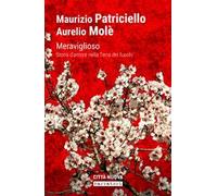 Meraviglioso. Storia d'amore nella «terra dei fuochi»