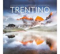 Meraviglioso Trentino. Ediz. italiana, tedesca e inglese