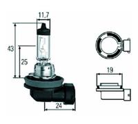 MERCE H11 12V 55W PGJ19-2 LAMPADINA alogena
