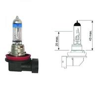 MERCE H11 12V 55W PGJ19-2 LAMPADINA alogena