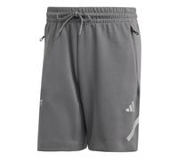 Mercedes - AMG Petronas Formula One Team Silver Arrows Short Grey Five L