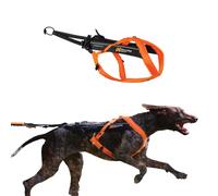 Merch Non-Stop Dogwear Freemotion Harness 5.0 (Black/Orange) Size 7 /Merch NUOVO