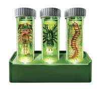 KidzLabs Glow Critter Lab, Creepy Crawlies prendono vita, provette illuminate, progetto scientifico e luce notturna per bambini dai 5 anni in su