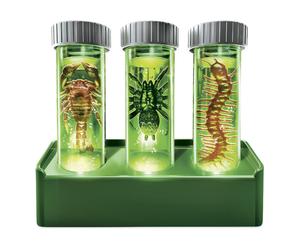 Merchandising 4M Laboratorio Insetti Luminescenti