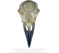 Alchemy Gothic Teschio di corvo Omega