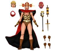 MERCHANDISING LICENCE NECA-TMNT Mirage Comics RENET AF Statue, Multicolore, 8383