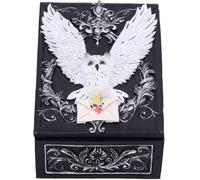 Merchandising Nemesis Now: Owl Messenger Box