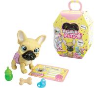 Simba - Pamper Petz Bulldog Francese, con accessori, gender reveal, certificato di adozione, +3 anni, 105950098