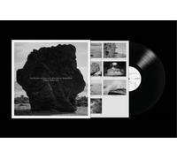 Mercury Rev Hello Blackbird (A Soundtrack By Mercury Rev) (Vinyl LP)