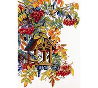 Merejka Kit per ricamo a punto croce, motivo Rowan, multicolore