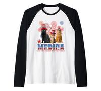 Merica Cats American Flag Firework Patriotic 4th of July Cat Maglia con Maniche Raglan