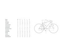 Merida Bikes Bicicletta Da Strada Scultura Endurance 4000 105 2027 Starfield Purple