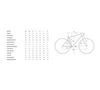 Merida Bikes Bicicletta Da Strada Scultura Team Dura-ace Di2 2027 Silk Blue / Grey / Flash
