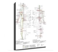 Meridian Acupoint Chart Human Body Acupuncture Points Educational Canvas Print Wall-Art for Classroom Decor(Unframed,08x12inch(20x30cm))