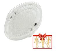 Meridian Brush Massage Body, Full Body Massage Brush, Handheld Professional Flexible Bristles, Relaxation Meridian Care with Acupuncture Point Chart (Transparent)