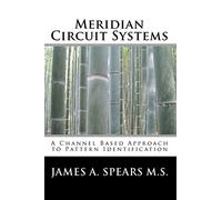 Meridian Circuit Systems: A Channel Based Approach to Pattern Identification: Volume 1