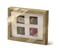 Meridiani Bouquet - Confezione Regalo 4 Blooming Teas / Nidi di The 28 gr.