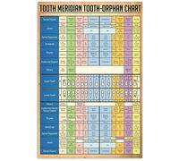 Meridiano dei denti, grafico degli organi dei denti, poster di conoscenza del dentista, insegne in metallo, meridiano dei denti, grafico degli orfani dei denti, targa vintage, decorazione per la stanz