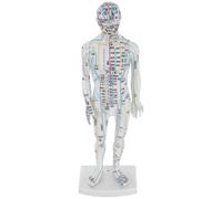 Meridiano Medicina Cinese Tradizionale Agopuntura Educativo