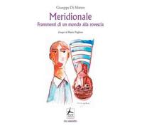 Meridionale. Frammenti di un mondo alla rovescia