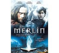 Merlin and the book of beasts (DVD)