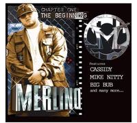 Merlino - Chapter One The Beginning