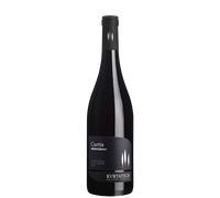 Merlot Cabernet 'Curtis' 2022 - Cantina Kurtatsch