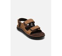 Merrell - COVE LTR BACKSTRAP Marrone - Sandali e scarpe aperte 44 Marrone