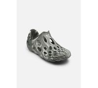 Merrell - HYDRO MOC Viola - Sandali e scarpe aperte 46 Viola