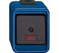 MERTEN 375998 - Black - Blue - 250 V - 10 A