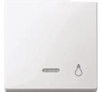 Merten 430919 interruttore della luce bianco (430919)