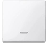 Merten Placca di copertura Interruttore di controllo System M, 1-M, M-Smart,