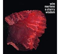 MERTENS, WIM - A STARRY WISDOM