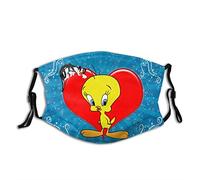 Mertz, J.K. - Romantic Guitar:Concertin