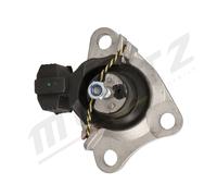 MERTZ M-S4873 Montaggio, Motore Per RENAULT