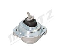 MERTZ M-S4956 Sospensione, Motore