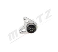 MERTZ M-S5501 Supporto, Differenziale per LAND ROVER