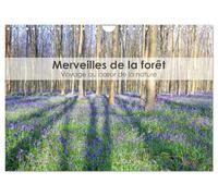 Merveilles de la forêt - Voyage au coeur de la nature (Calendrier mural 2025 DIN A4 vertical), CALVENDO calendrier mensuel: Plongez au coeur de la ... la beauté sauvage et apaisante des forêts.