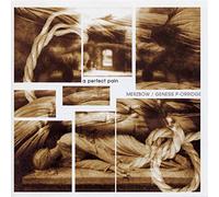 Merzbow, Genesis Breyer P-Orridge - A Perfect Pain