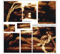Merzbow/Genesis Breyer P-Orridge A Perfect Pain (CD) Album