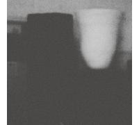 Merzbow - La prosperità del vizio, la sfortuna della virtù