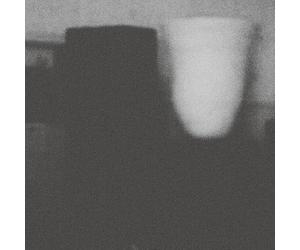 Merzbow - La prosperità del vizio, la sfortuna della virtù