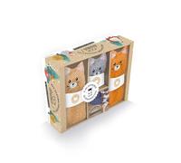 Mes chatons chaussettes 100% douceur: Avec 3 jolies paires de chaussettes du 36 au 41