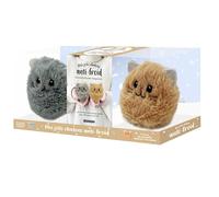 Mes jolis chatons anti-froid: Coffret avec 2 bouillottes en peluche + 1 livret d'astuces